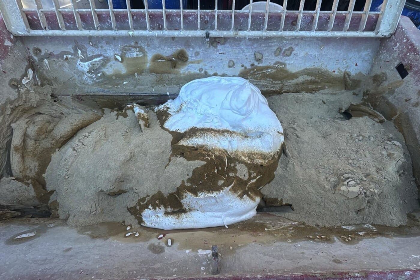 Impressionen Natuerlich abschiednehmen 2026 8 45805fa0